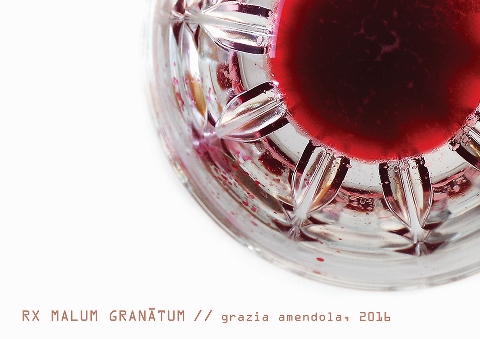 Grazia Amendola – Rx Malum Granātum